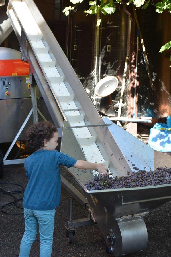كولمار Chez Cecile Bed And Breakfast Chez Le Vigneron المظهر الخارجي الصورة