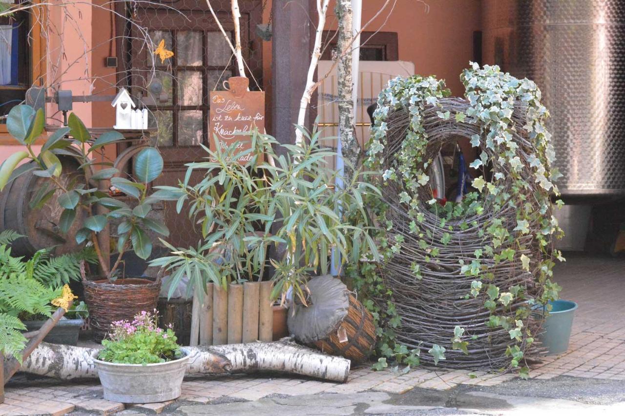 كولمار Chez Cecile Bed And Breakfast Chez Le Vigneron المظهر الخارجي الصورة