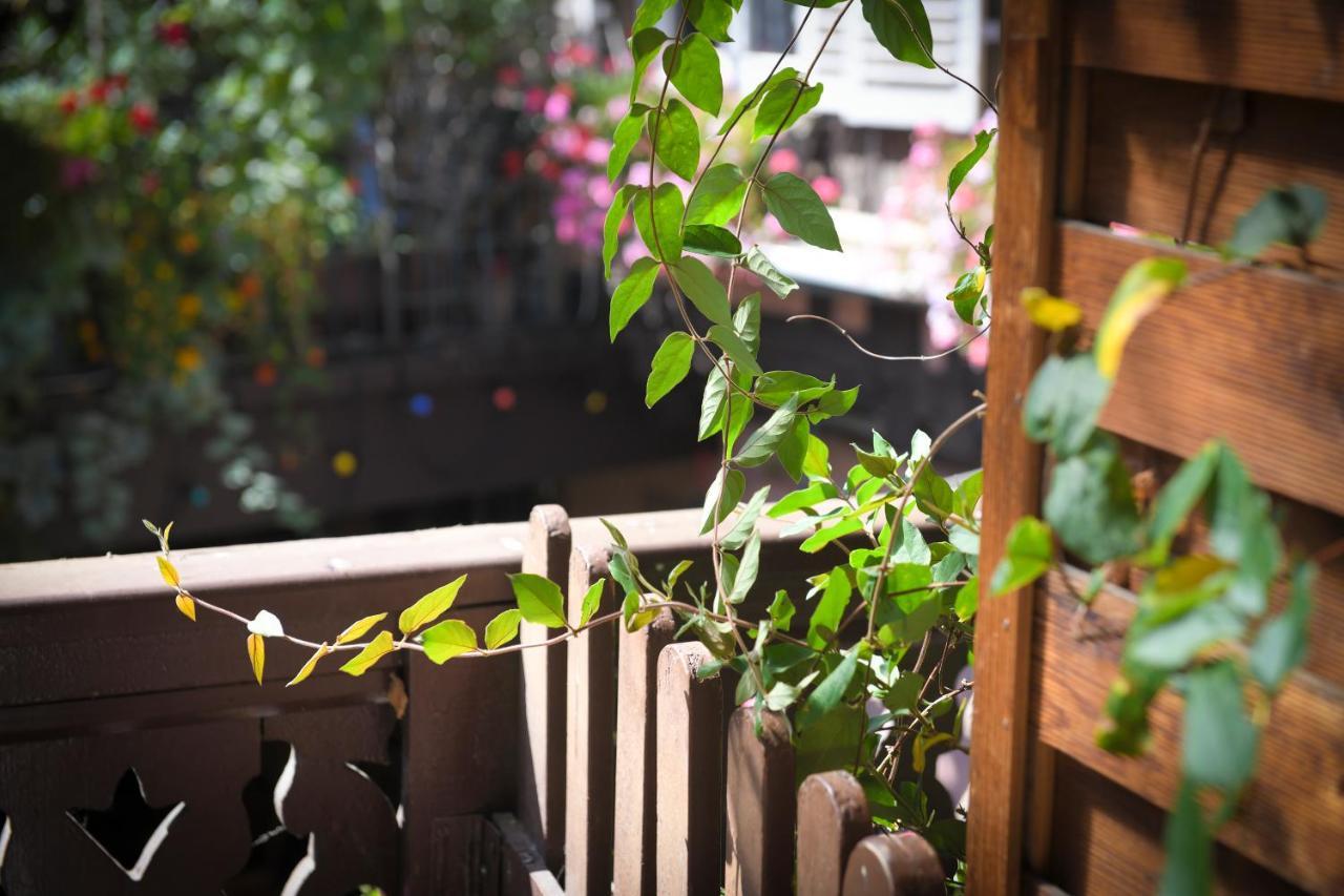 كولمار Chez Cecile Bed And Breakfast Chez Le Vigneron المظهر الخارجي الصورة