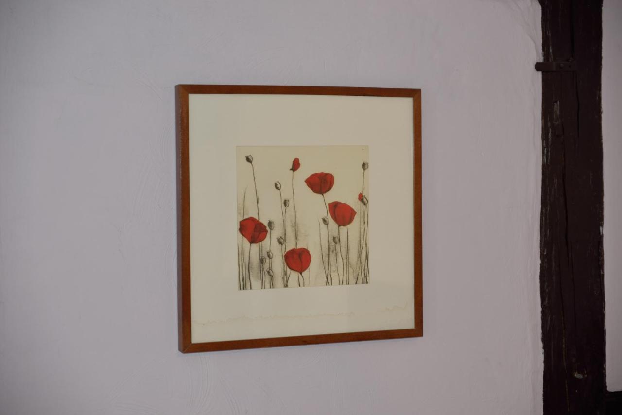 كولمار Chez Cecile Bed And Breakfast Chez Le Vigneron المظهر الخارجي الصورة