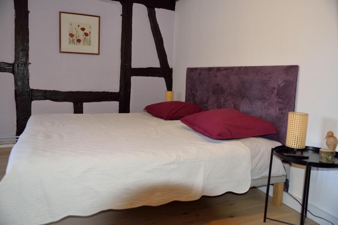 كولمار Chez Cecile Bed And Breakfast Chez Le Vigneron المظهر الخارجي الصورة